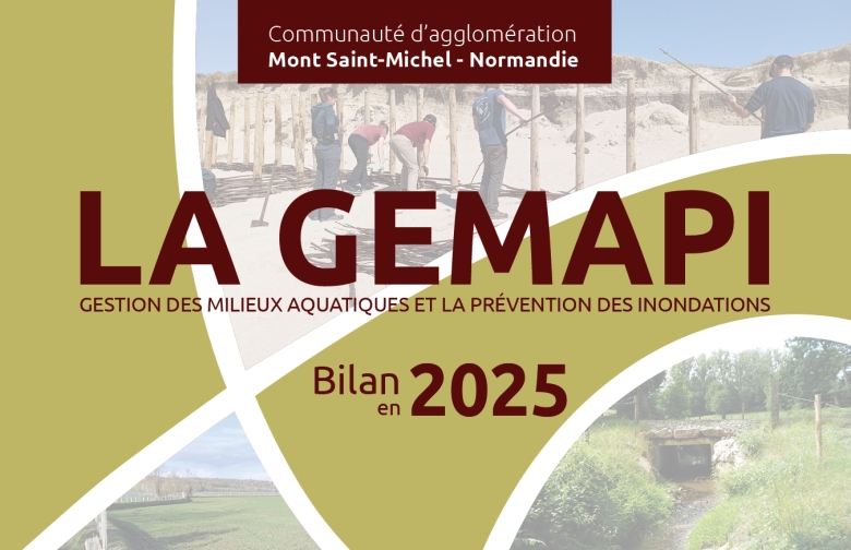 GEMAPI