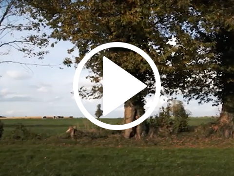 Vignette Video Haie Bocagere