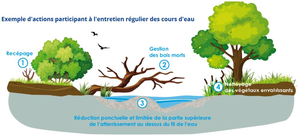 illustration 2 bon à savoir