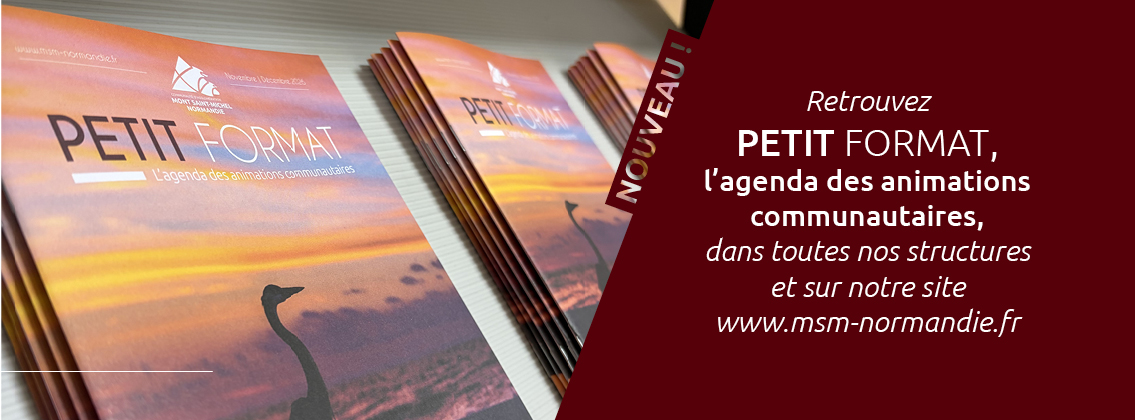 Petit Format de novembre et décembre 2026 : l’agenda des animations communautaires